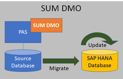 Migrating to SAP HANA Database_Classic DMO_Createch